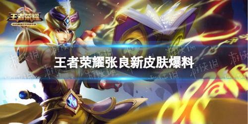 新王者皮肤爆料最新消息,揭秘神秘爆料背后的精彩细节  第1张