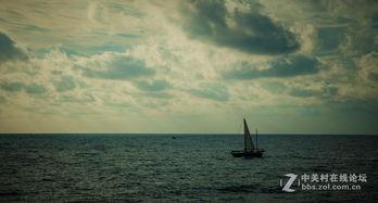 大海 在线观看,在线观看大海的壮阔画卷  第1张